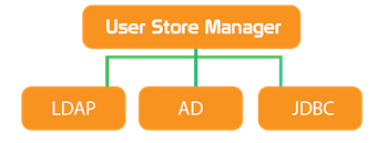 user store manager