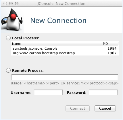 Java monitoring and management console