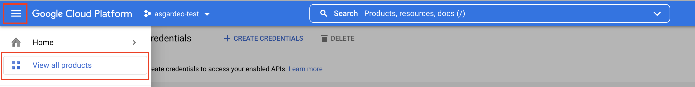 View all products on the Google console